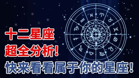 十二星座分析